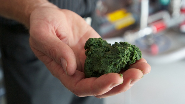 A close up of a man's hand holding dried algae product.
